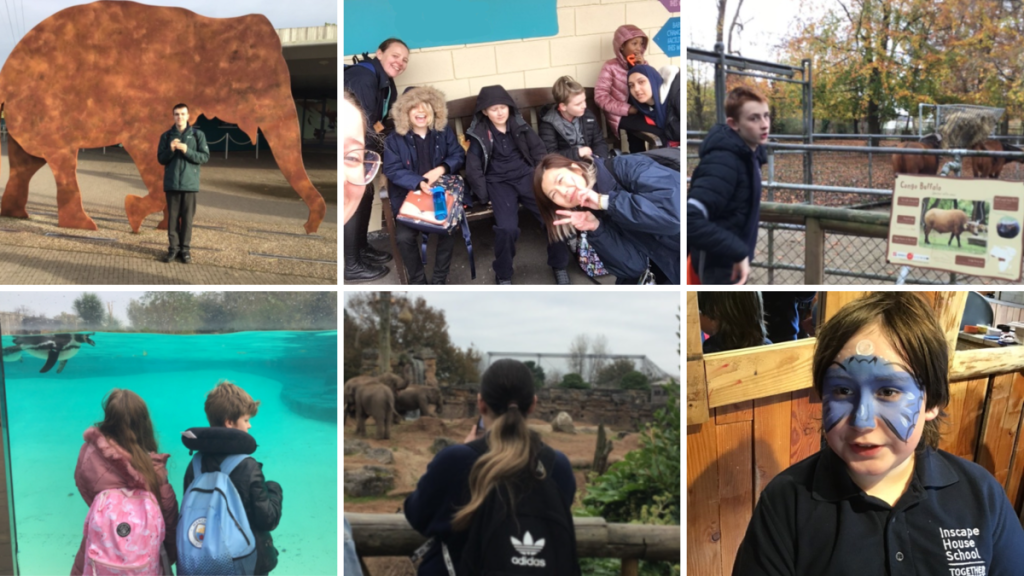 A collage of 6 images: first is of a teen boy standing in front of a big metal sculpture of an elephant, second is of a group of students and staff sitting down smiling; third is of a boy standing in front of a buffalo enclosure, fourth is two children watching a penguin swim, fifth is of someone taking a photo of elephants and sixth is of a student with facepaint on.