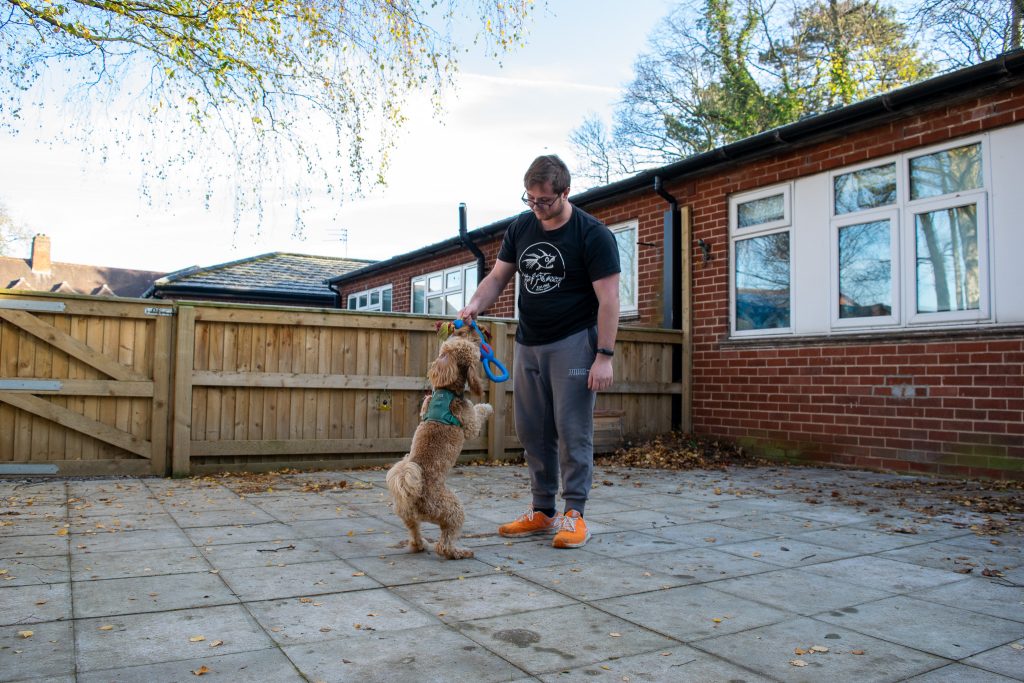 Jack is playing with Reggie, the golden doodle. They are outside and Jack is holding up a chew toy while the dog jumping up.