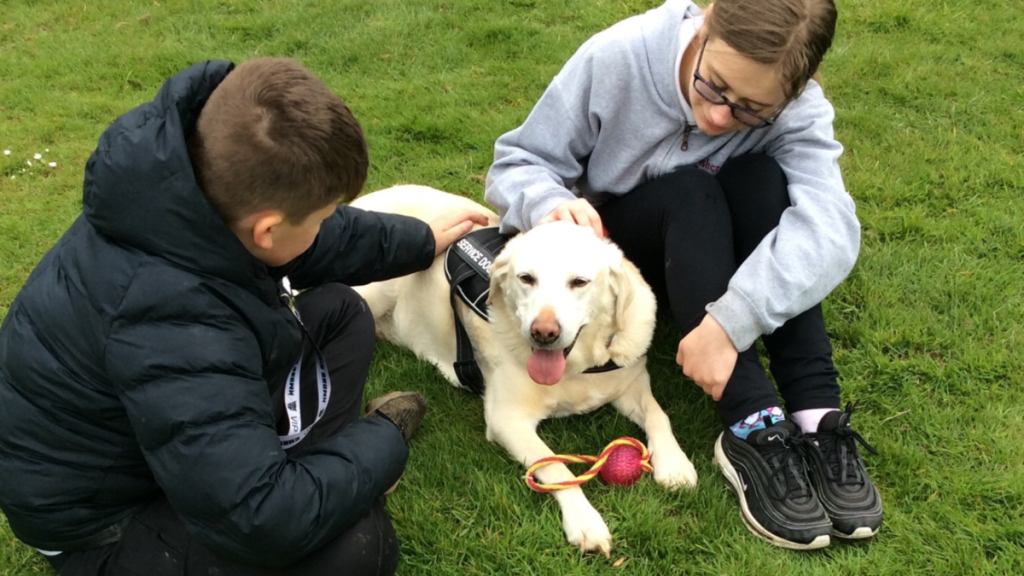 Two students playing with a dog outside in the grass.