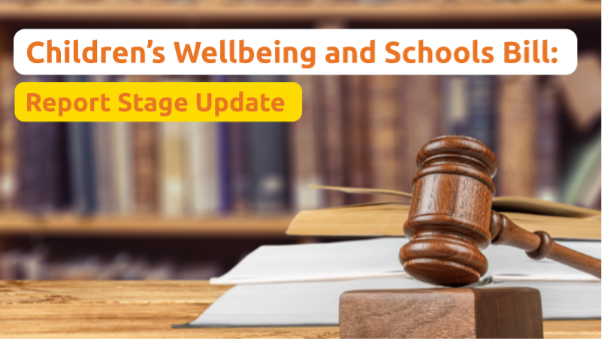 Report Stage reflections: Concerns about unregistered homes and mental health