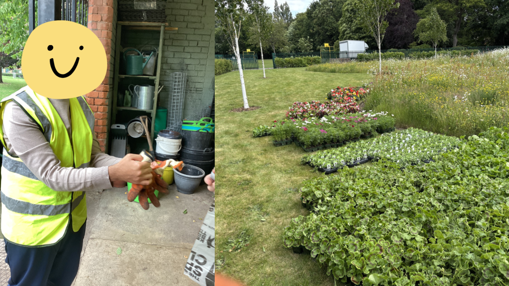 A young man wearing a high vis is putting on gardening gloves. To his right, there is a photo of a neat row of flowers waiting to be planted.