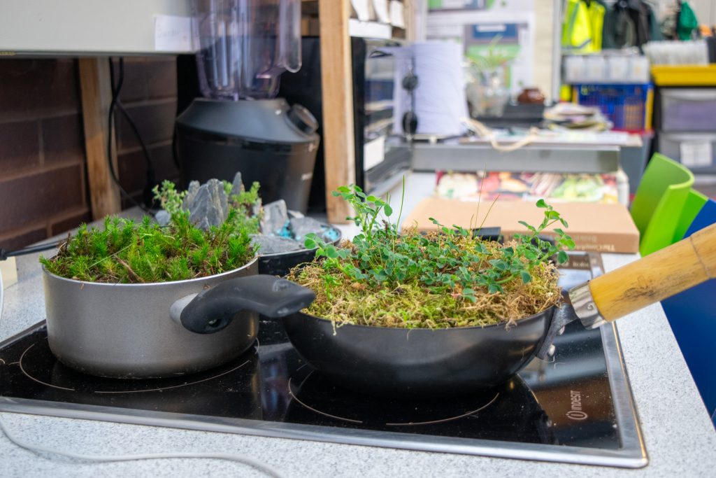 Two cooking pans repurposed into plant pots, filled with plants. 