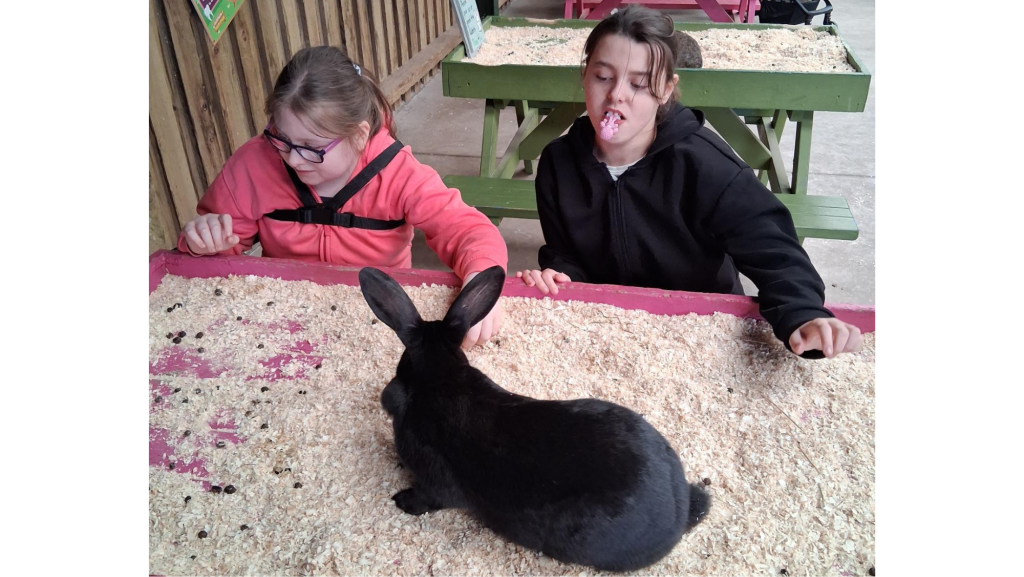 Two young people sat at a table looking at a black rabbit with long ears.