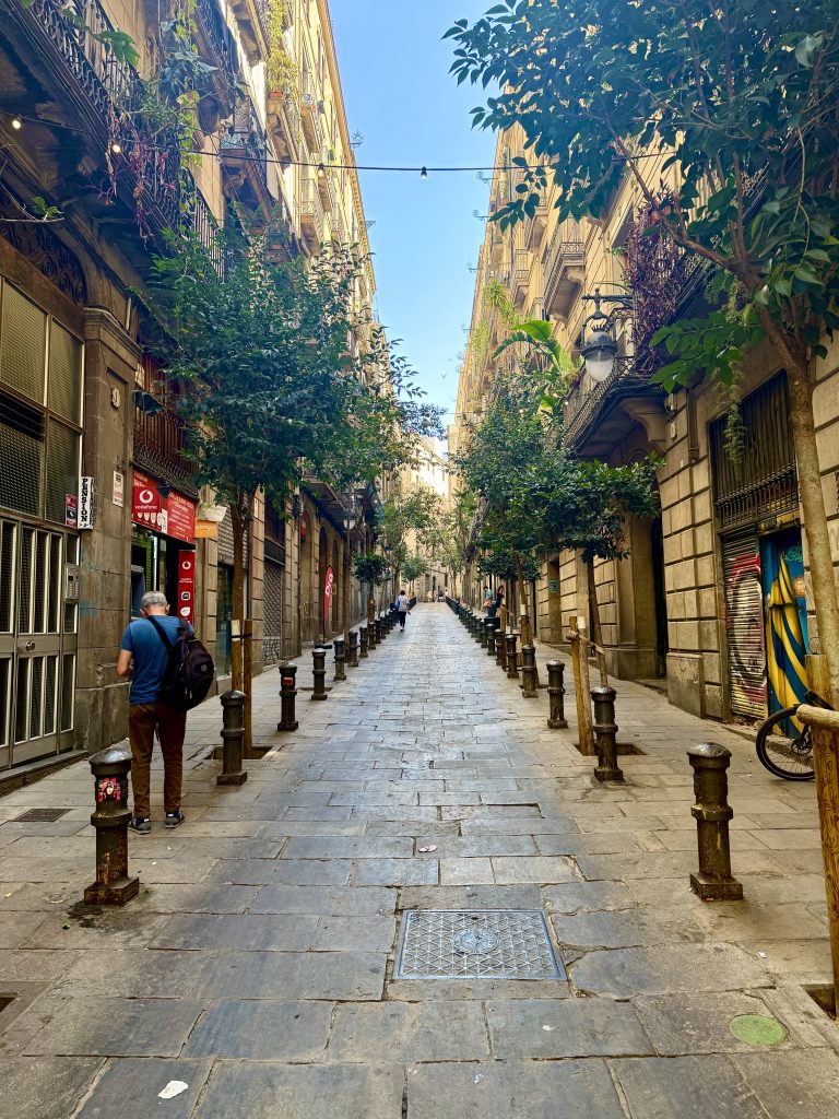 a street in Barcelona with cobblestones and greenery. 