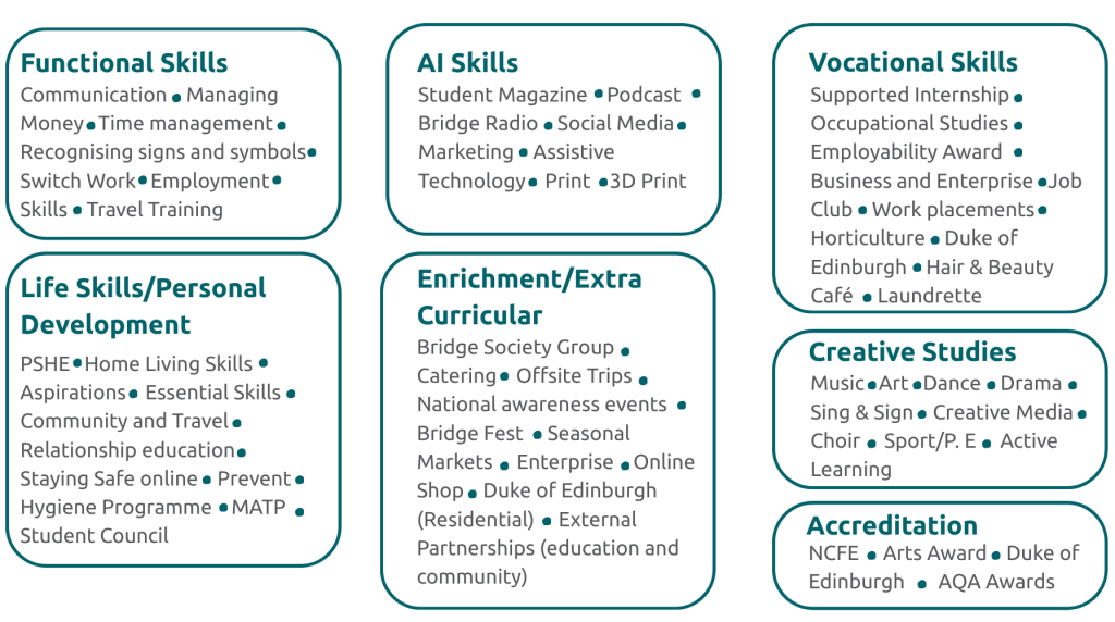 Bridge College curriculum overview includes: Functional Skills, AI Skills, Vocational Skills, Life Skills/Personal Development, Enrichment/Extra Curricular, Creative Studies, and Accreditation. 