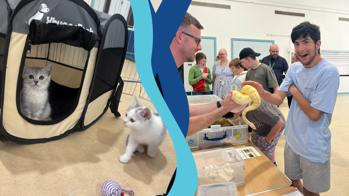 Animal visits at Inscape House school 
