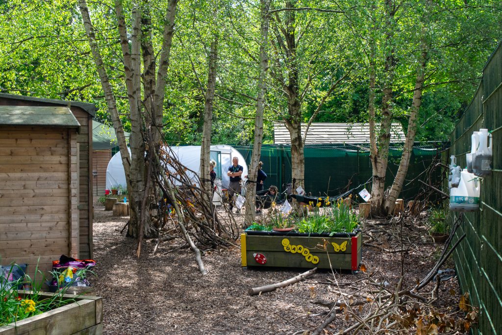 the forest school at inscape. a woodland area with trees and planters