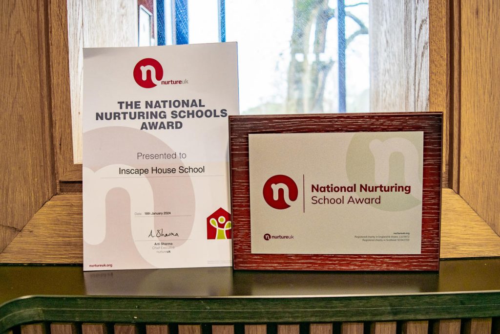 A photo of the certificate and the award in a frame.