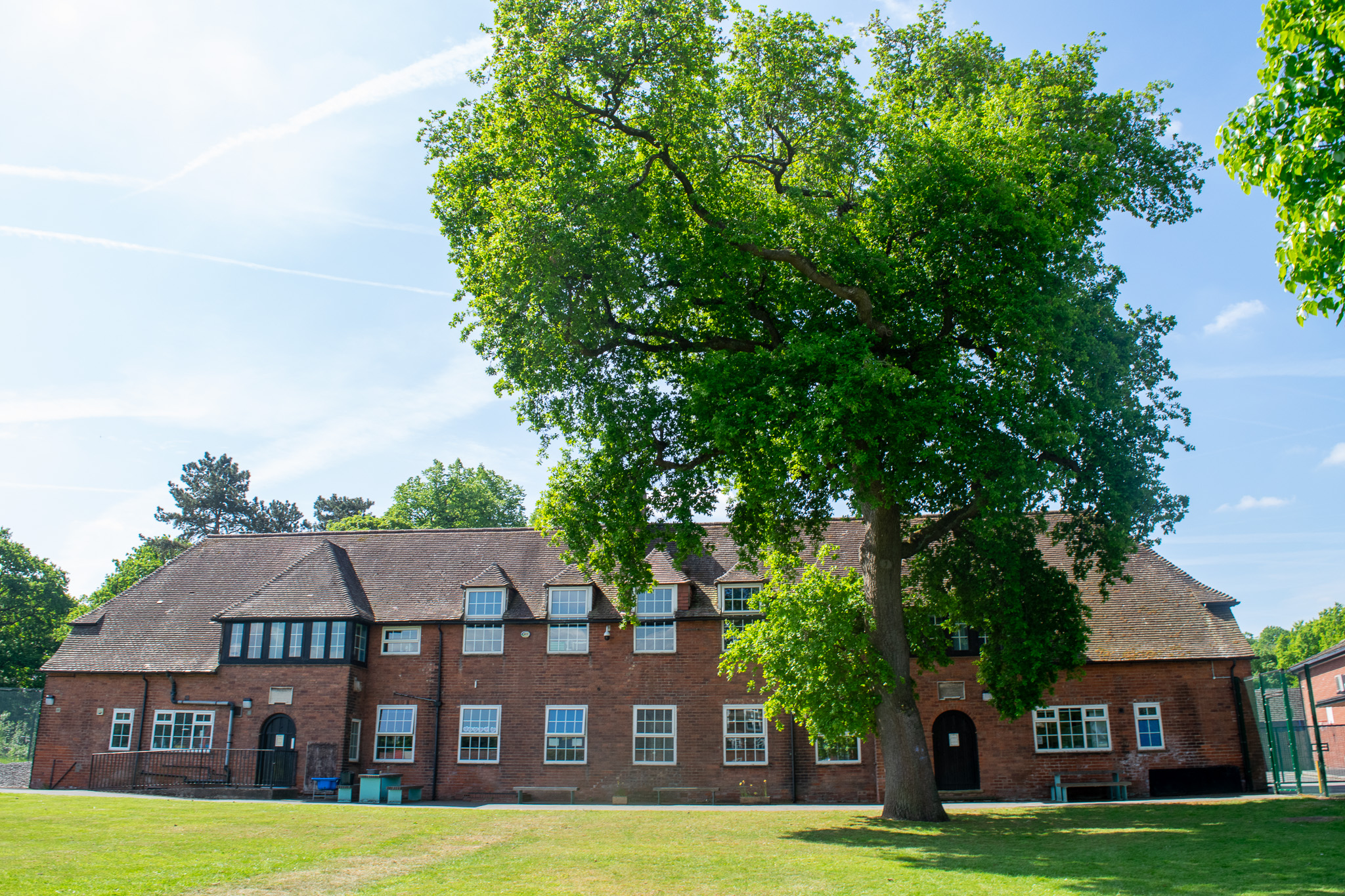 one of inscape's buildings behind a tree