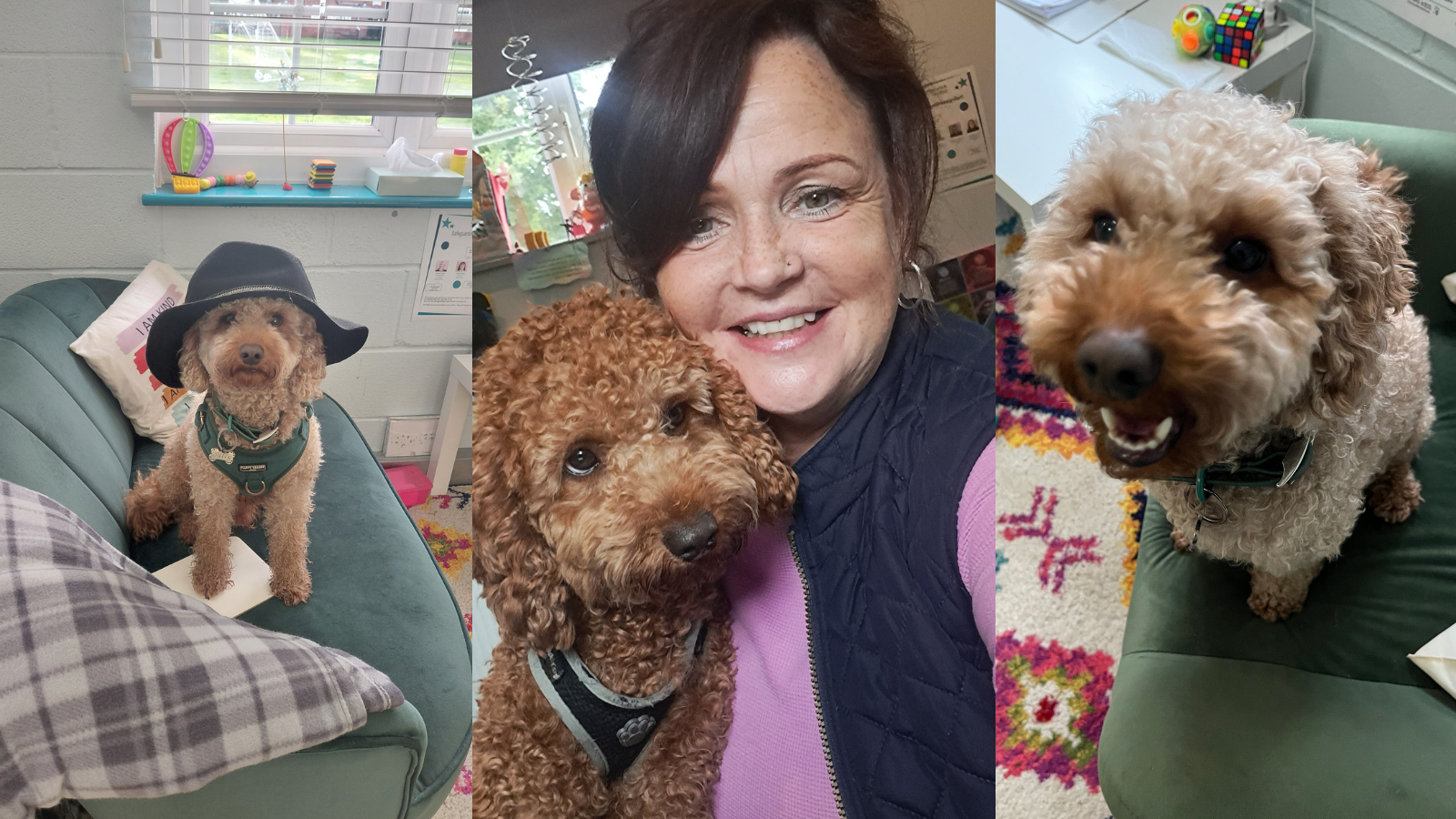 From drama to play therapy and animal therapy: Sandy’s journey supporting young people thrive